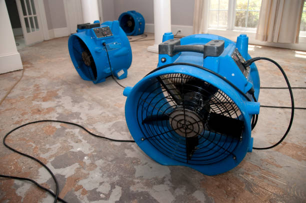 Best 24-hour water damage restoration  in Weaver, AL